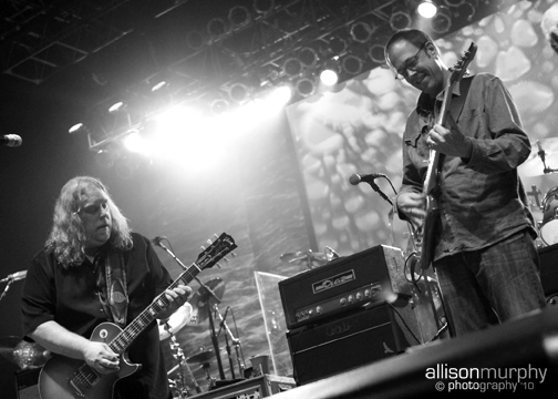 IMG_1076 copy