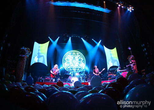 IMG_7873 copy