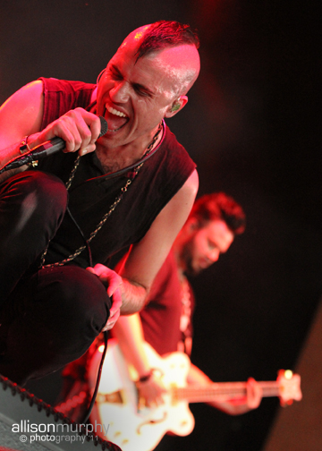 IMG_3384 copy
