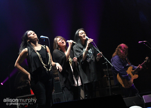 IMG_1453 copy
