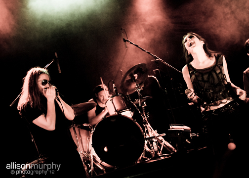 IMG_8644 copy