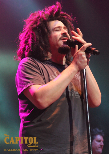 IMG_0261 copy